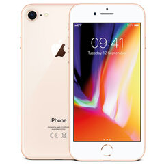 Apple iPhone 8 256GB (Klass A (Väga hea)) hind ja info | Telefonid | kaup24.ee