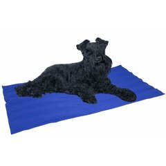 Koera vaip Nayeco Sinine Jahutavast geelist (50 x 90 cm) hind ja info | Pesad, padjad | kaup24.ee