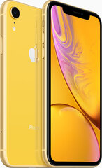 Apple iPhone XR 128GB (Klass A (Väga hea)) hind ja info | Telefonid | kaup24.ee