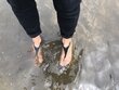 Naiste sandaalid Crocs™ Sexi Flip, must цена и информация | Naiste sandaalid | kaup24.ee