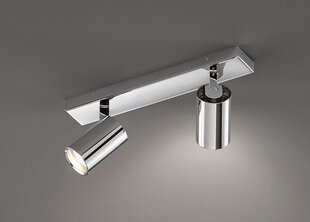 Потолочный светильник для ванной Gavin, хром цена и информация | Потолочные светильники | kaup24.ee
