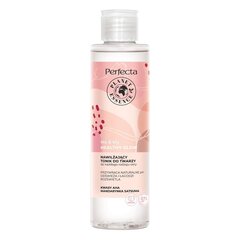 Niisutav näotoonik Perfecta Planet Essence Me & My Healthy Glow, 200 ml hind ja info | Näopuhastusvahendid | kaup24.ee