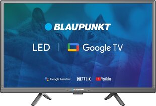 Blaupunkt 24HBG5000S цена и информация | Телевизоры | kaup24.ee