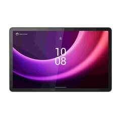 Lenovo Tab P11 Storm Grey (ZABG0279SE) hind ja info | Tahvelarvutid | kaup24.ee