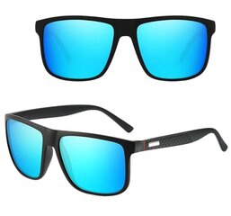 Солнцезащитные очки с поляризацией для мужчин Z91, синий цена и информация | Солнцезащитные очки для мужчин | kaup24.ee