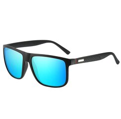 Солнцезащитные очки с поляризацией для мужчин Z91, синий цена и информация | Солнцезащитные очки для мужчин | kaup24.ee