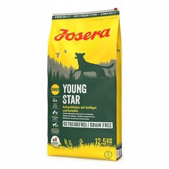 Josera Dog Youngstar Grainfree kutsikatele, 12,5 kg hind ja info | Kuivtoit koertele | kaup24.ee
