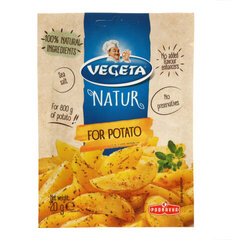 Приправы для картофеля Vegeta Natur, 20г цена и информация | Специи, наборы специй | kaup24.ee