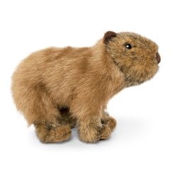 Pehme mänguasi kapibaara, 22 cm hind ja info | Pehmed mänguasjad | kaup24.ee