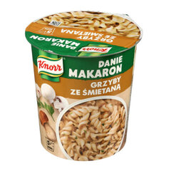 Pasta seenekastmega Knorr, 59 g hind ja info | Makaronid | kaup24.ee