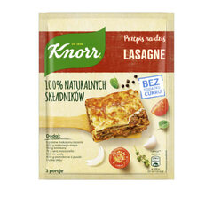 Lasanje Knorr Fix Natural, 43 g hind ja info | Vürtsid, vürtsikomplektid | kaup24.ee