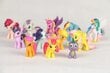 Figuurikomplekt My Little Pony, 12 tk цена и информация | Tüdrukute mänguasjad | kaup24.ee