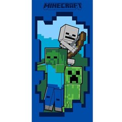 Полотенце Minecraft 30x50cm цена и информация | Полотенца | kaup24.ee