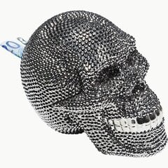 Копилка "Кристальный череп" (Skull Crystal), 16 x 14 x 20,5 см цена и информация | Оригинальные копилки | kaup24.ee