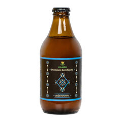 Fermenteeritud teejook Kombucha Grounding, 330 ml hind ja info | Karastusjoogid | kaup24.ee