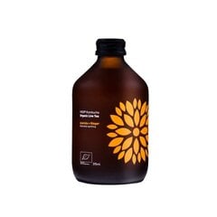 Süsinikdioksiidiga orgaaniline teejook acerola ja ingveriga Vigo Kombucha, 0.33 l hind ja info | Karastusjoogid | kaup24.ee