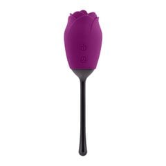 Vibraator Playboy Petal vibrator, lilla/must hind ja info | Vibraatorid | kaup24.ee