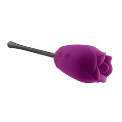 Vibraator Playboy Petal vibrator, lilla/must hind ja info | Vibraatorid | kaup24.ee