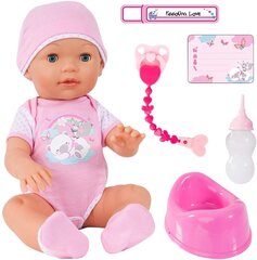 Beebi nukk koos tarvikutega Bayer Baby Piccolina Love 94209 hind ja info | Tüdrukute mänguasjad | kaup24.ee