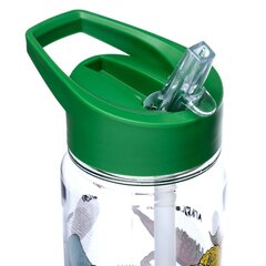 Небьющаяся пластиковая бутылка для воды Dinosauria, 550 мл  цена и информация | Фляги для воды | kaup24.ee