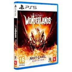 Видеоигры PlayStation 5 2K GAMES Tiny Tina's Wonderlands цена и информация | Компьютерные игры | kaup24.ee