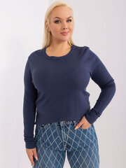 Женская бирюзовая блузка больших размеров цена и информация | Женские кофты | kaup24.ee