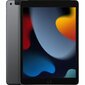 Apple iPad (2021) Hall 10,2" 256 GB hind ja info | Tahvelarvutid | kaup24.ee