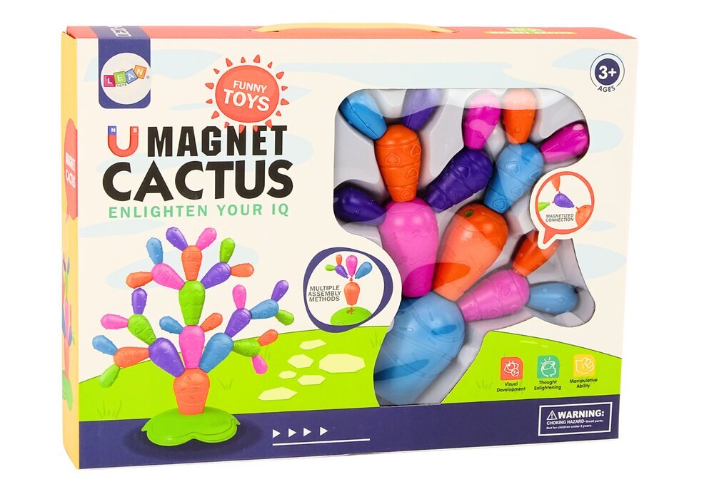 Magnetic Cactus Constructor, 16-elementi цена и информация | Klotsid ja konstruktorid | kaup24.ee