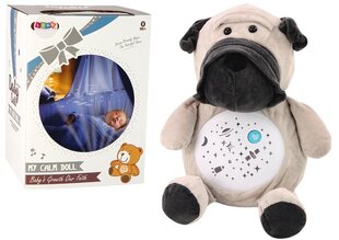Плюшевый щенок для сна со звуковыми и световыми эффектами Lean Toys цена и информация | Мягкие игрушки | kaup24.ee