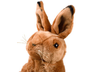 Плюшевый кролик 25 см цена и информация | Мягкие игрушки | kaup24.ee