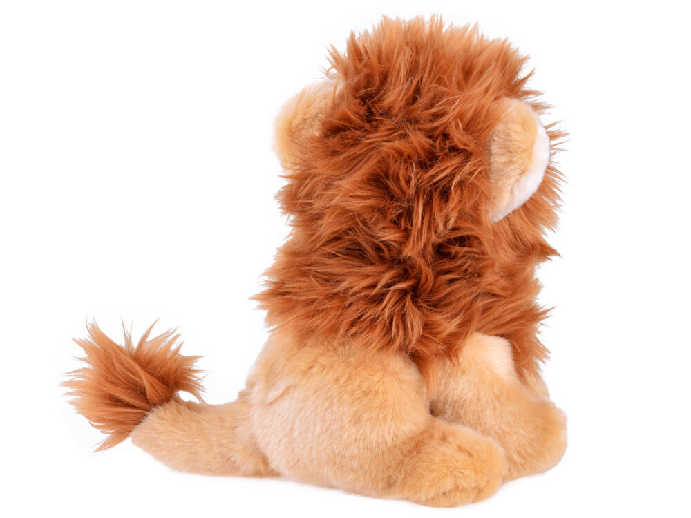 Pehme lõvi, 20 cm цена и информация | Pehmed mänguasjad | kaup24.ee