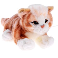 Pehme kassipoeg, 30 cm hind ja info | Pehmed mänguasjad | kaup24.ee