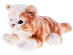 Pehme kassipoeg, 30 cm hind ja info | Pehmed mänguasjad | kaup24.ee