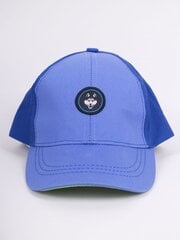 Müts poistele 5904921612616, sinine hind ja info | Poiste mütsid, sallid, kindad | kaup24.ee