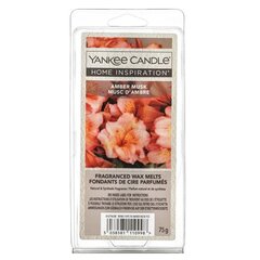 Yankee Candle Home Inspiration Amber Musk 75 g hind ja info | Küünlad, küünlajalad | kaup24.ee