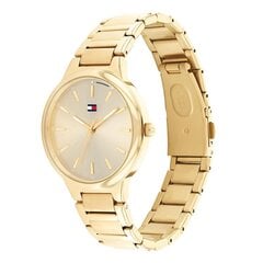 Naiste käekell Tommy Hilfiger TH1782402 цена и информация | Женские часы | kaup24.ee