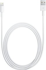 Kabel USB Apple USB-A - Lightning 2 m Biały (MD819ZM/A) hind ja info | Mobiiltelefonide kaablid | kaup24.ee