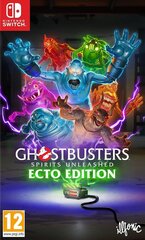 Ghostbusters: Spirits Unleashed (Ecto Edition) hind ja info | Arvutimängud, konsoolimängud | kaup24.ee