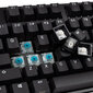 Ducky Origin Cherry MX-Blue (DKOR2308A-CCUSPDOECLAAA1) цена и информация | Klaviatuurid | kaup24.ee