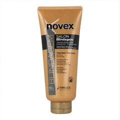 Kuumakaitse Novex Gold Salon Blindagem, 400 ml hind ja info | Maskid, õlid, seerumid | kaup24.ee