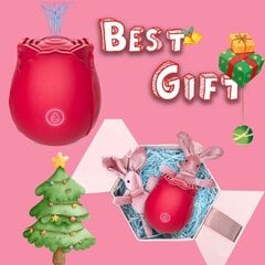 Lovejoy Rose Toy vibraator naistele hind ja info | Vibraatorid | kaup24.ee