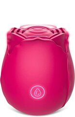 InnoGear Rose Vibraator naistele hind ja info | Vibraatorid | kaup24.ee