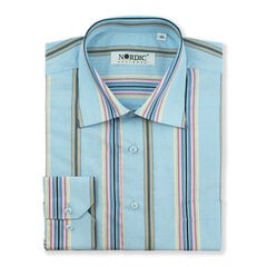 Рубашка мужская Nordic, прямой силуэт - с длинным рукавом 7871-46 цена и информация | Мужские рубашки | kaup24.ee
