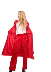 Sametist püksid naistele, punane hind ja info | Naiste püksid | kaup24.ee