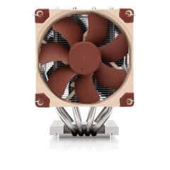 Noctua NH-D9 TR5-SP6 цена и информация | Кулеры для процессоров | kaup24.ee