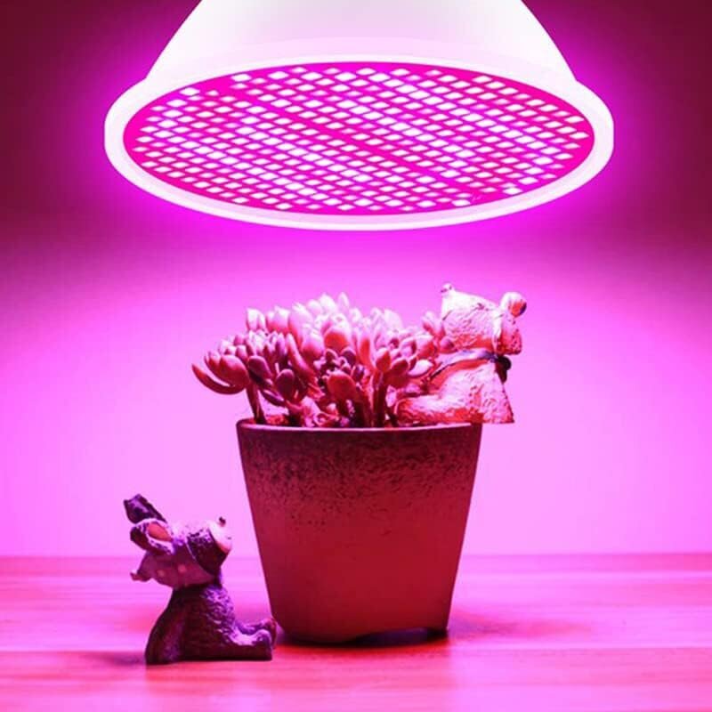 InnoGear ‎E563 LED kasvuvalgusti, 20 W hind ja info | Nutipotid ja taimelambid | kaup24.ee