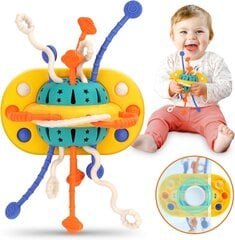 Sensoorne Montessori mänguasi lastele Bambebe hind ja info | Imikute mänguasjad | kaup24.ee