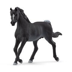 SCHLEICH HORSE CLUB Арабский скакун цена и информация | Игрушки для мальчиков | kaup24.ee