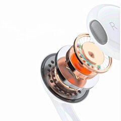 Kõrvaklapid iPhone, Lightning pistikuga, X14PROL-W11, valge hind ja info | Kõrvaklapid | kaup24.ee