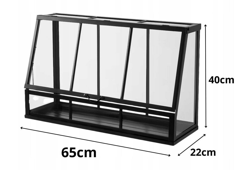 Miniklaasist kasvuhoone, 65 x 22 cm hind ja info | Kasvuhooned | kaup24.ee